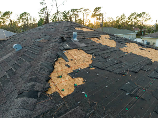 Best Roof Insulation Installation  in Canton, OH